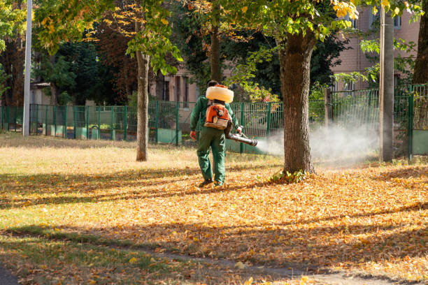 Best Commercial Pest Control Services  in Walker, LA